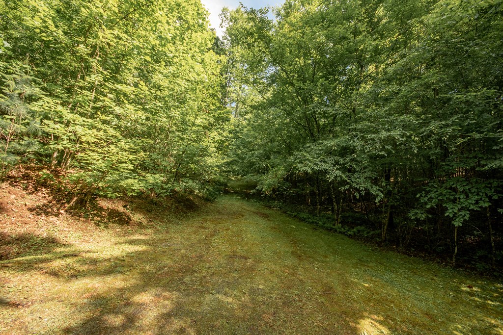 525 Beacon Hill Rd