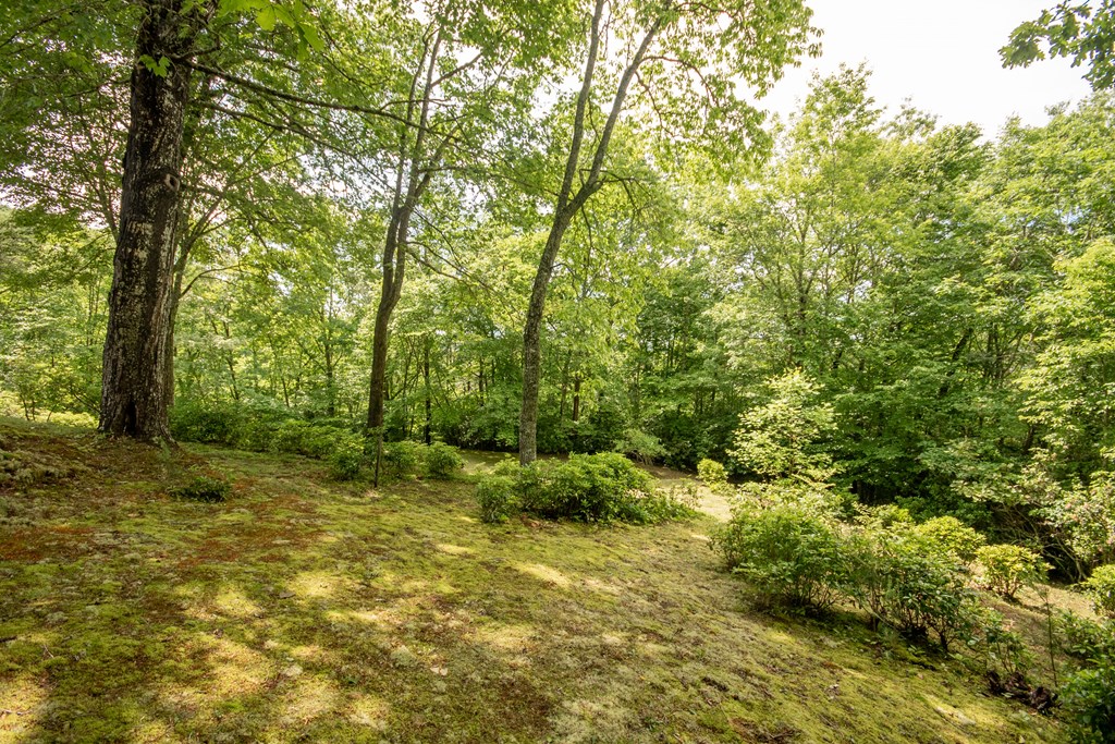 525 Beacon Hill Rd