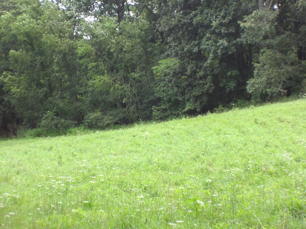 Lot # 8 Porter Creek Rd Phs 2 LOT 8