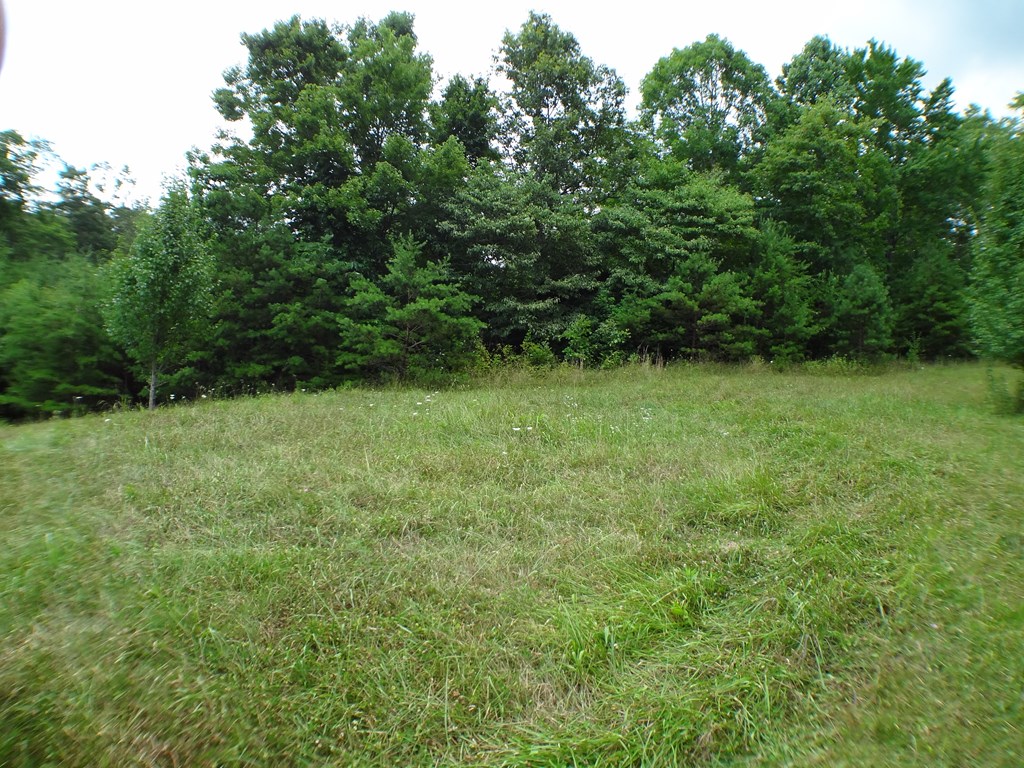 Lot # 8 Porter Creek Rd Phs 2 LOT 8