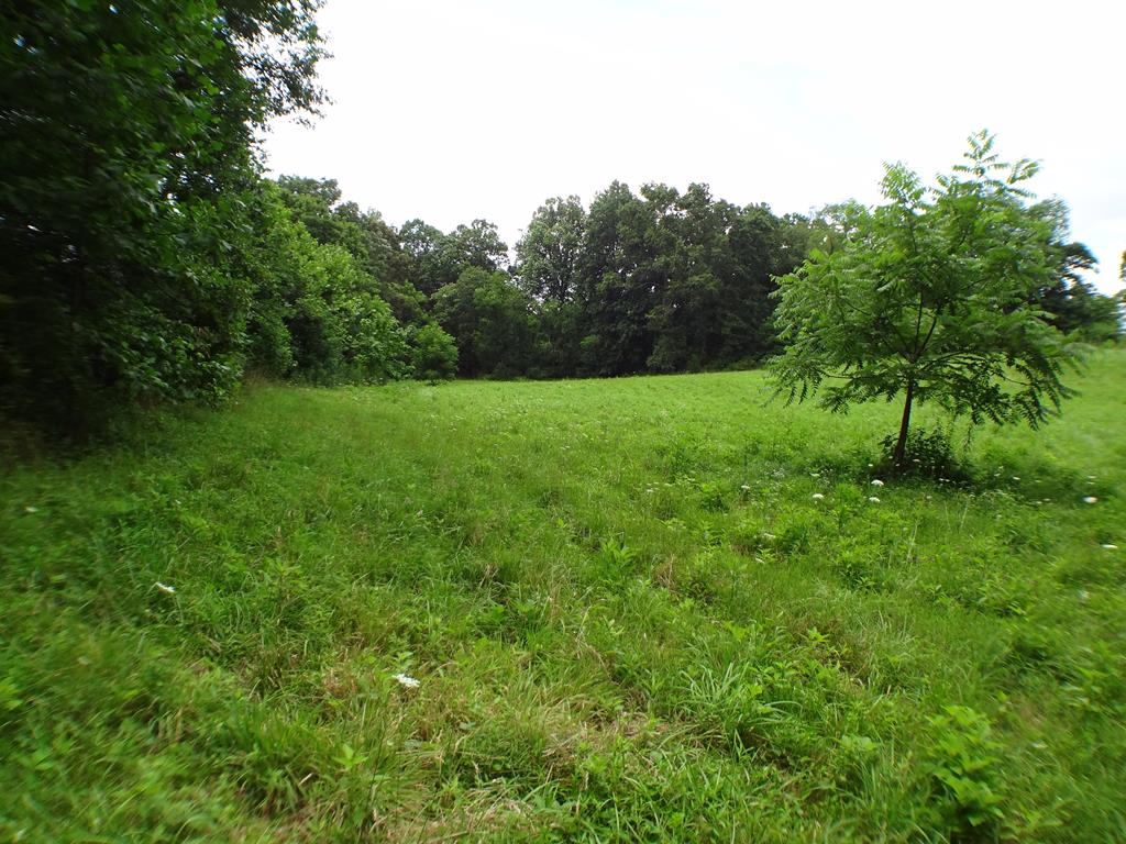 Lot # 8 Porter Creek Rd Phs 2 LOT 8