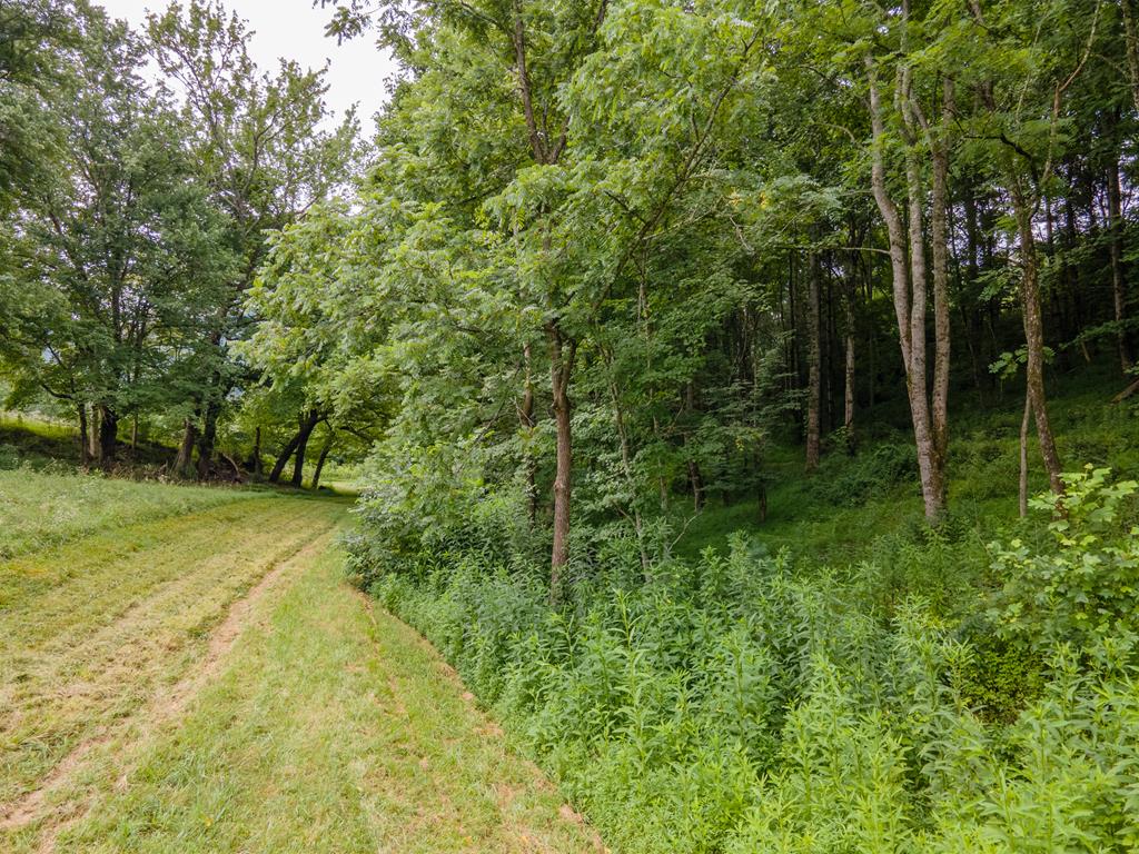 2131 Snow Hill Road