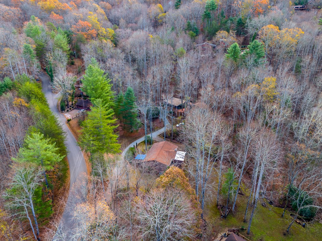 437 Ammons Road