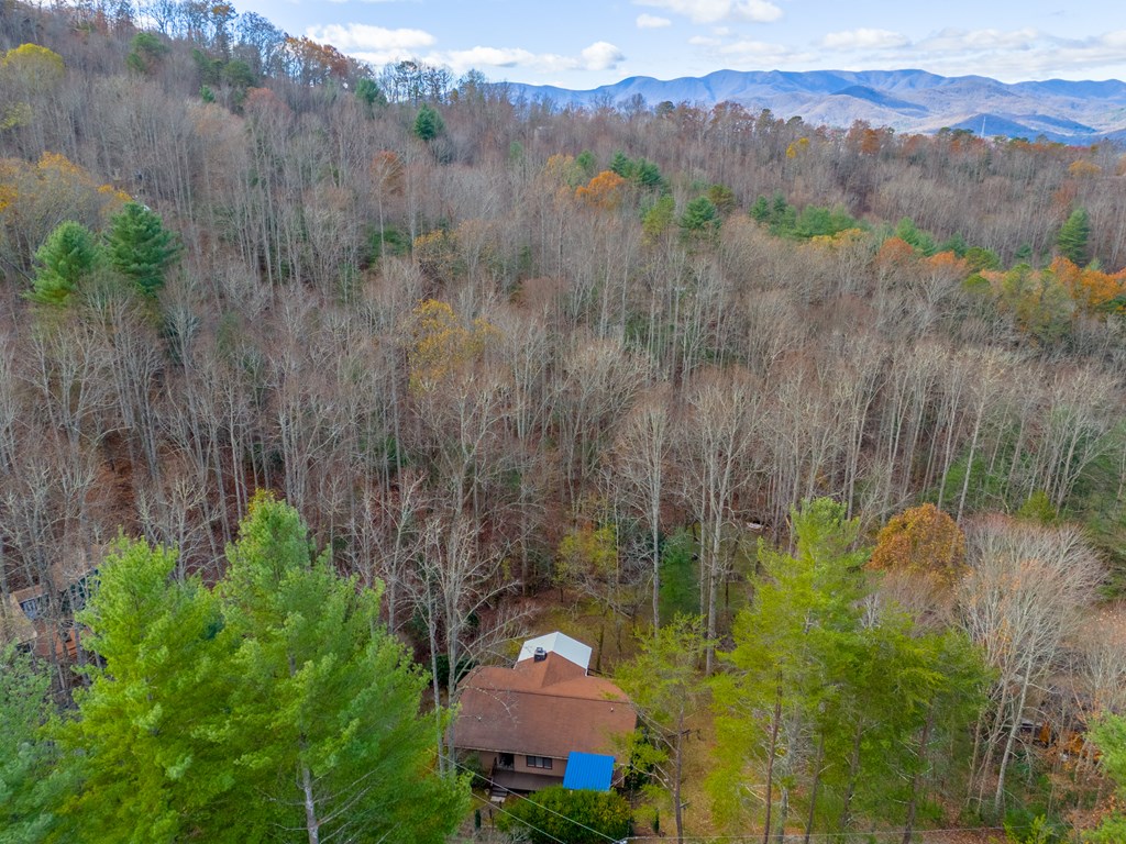 437 Ammons Road