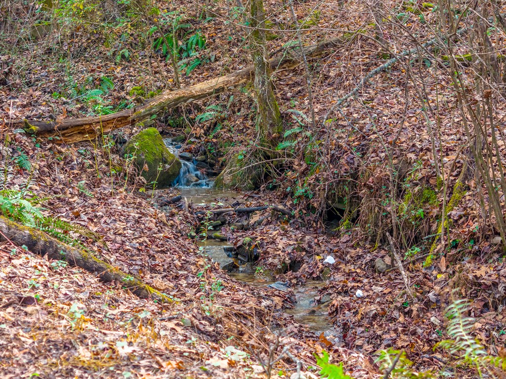 437 Ammons Road