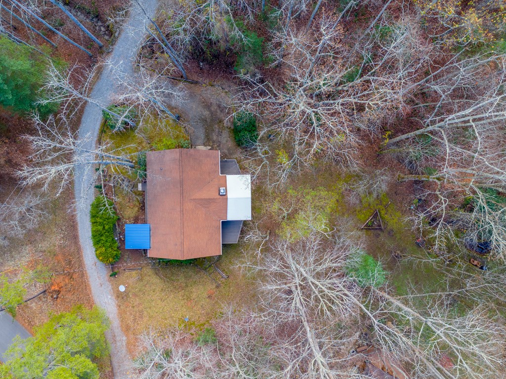 437 Ammons Road