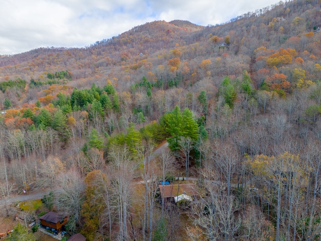 437 Ammons Road