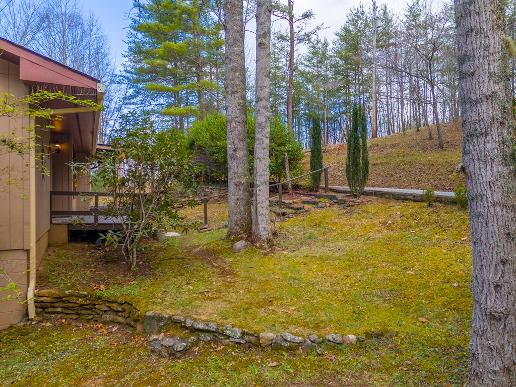437 Ammons Road