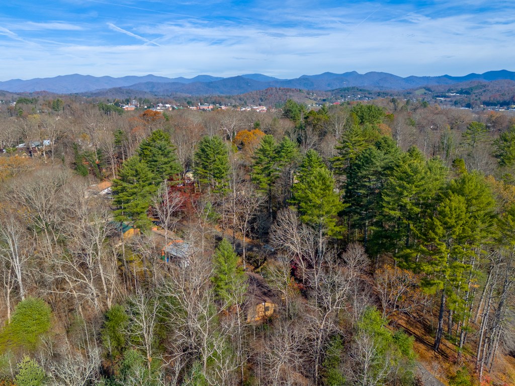 196 Crestview Heights
