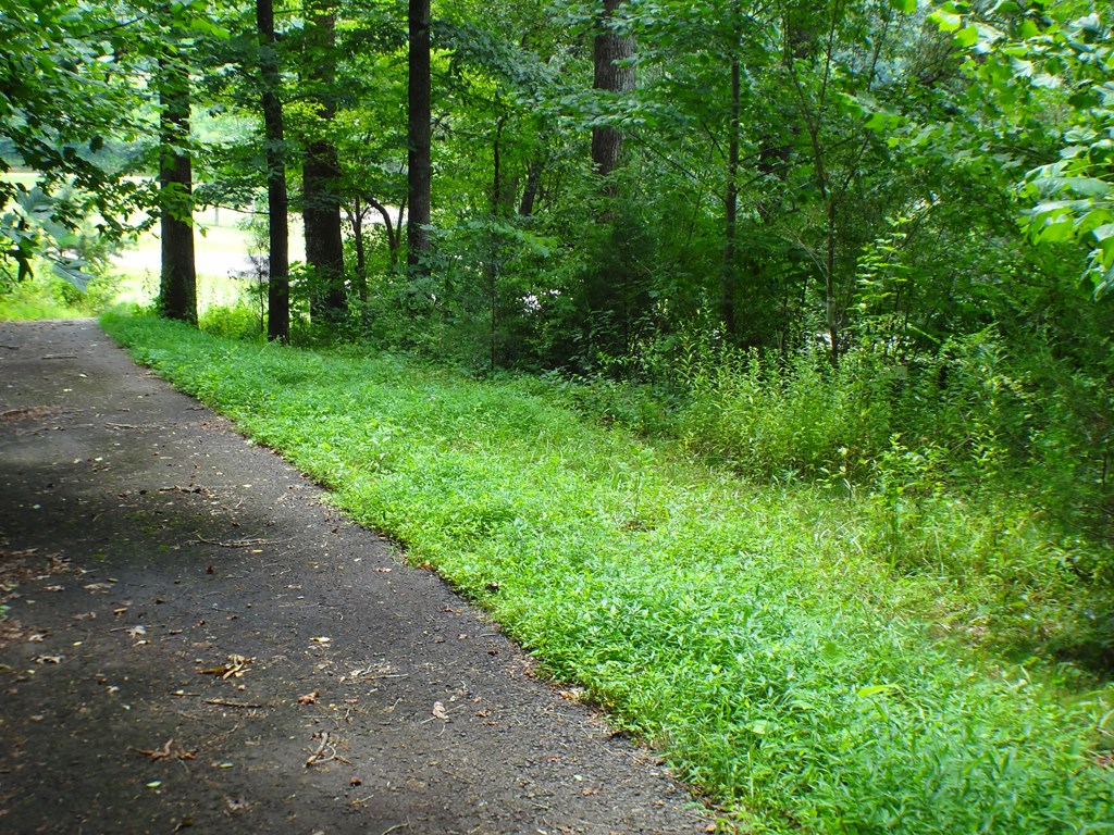 C-15 Cottage View Drive LOT C-15