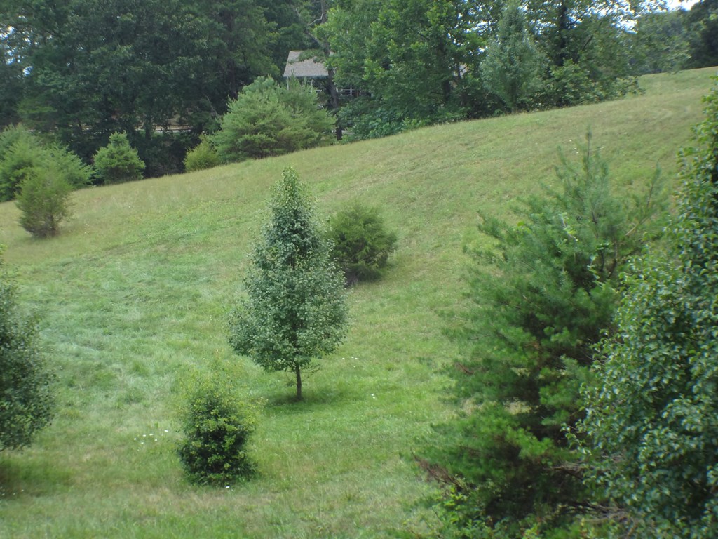 Lot #24 Porter Creek Road LOT 24