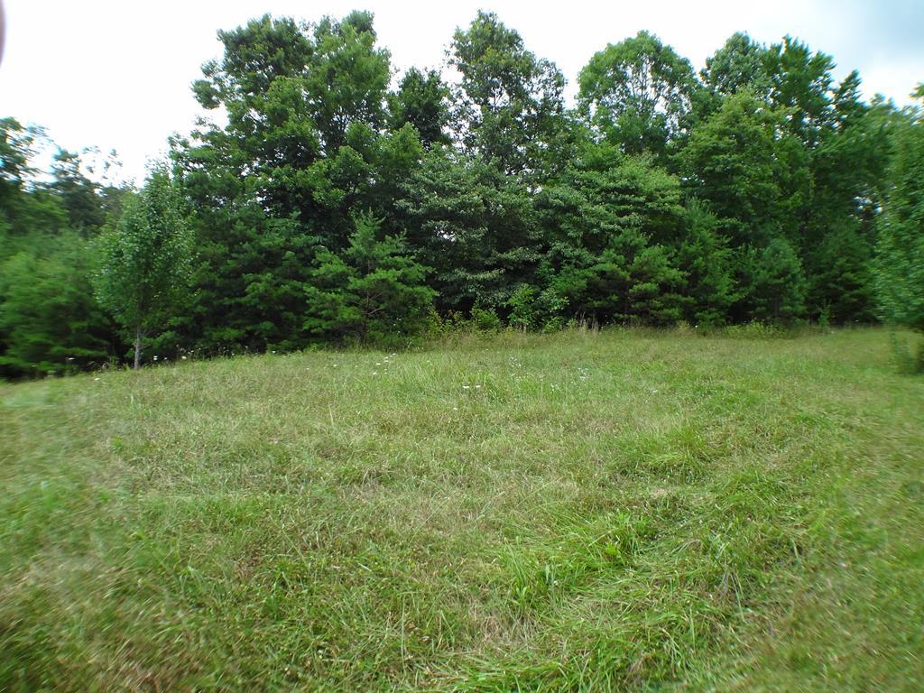Lot #38 Porter Creek Rd LOT 38