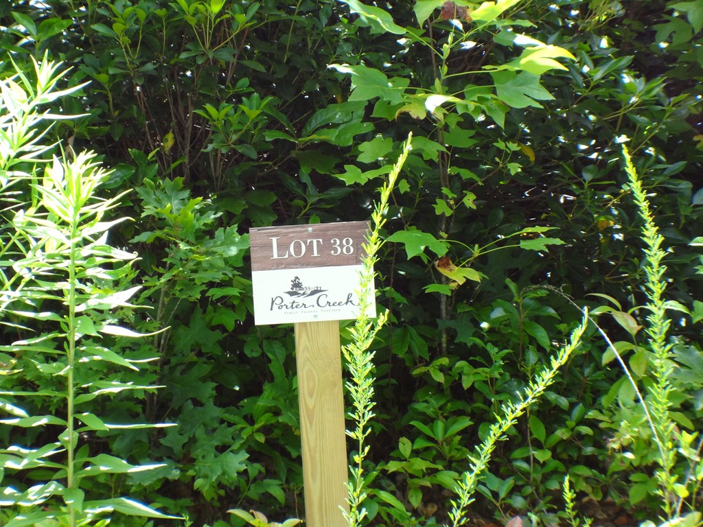 Lot #38 Porter Creek Rd LOT 38