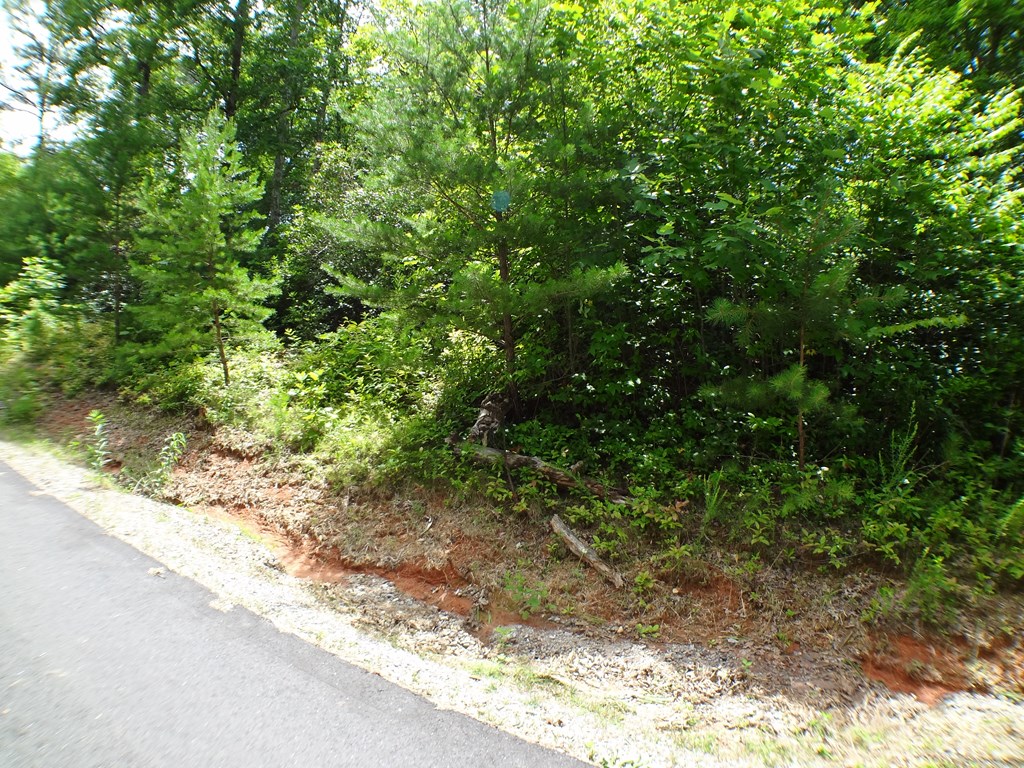 Lot #38 Porter Creek Rd LOT 38