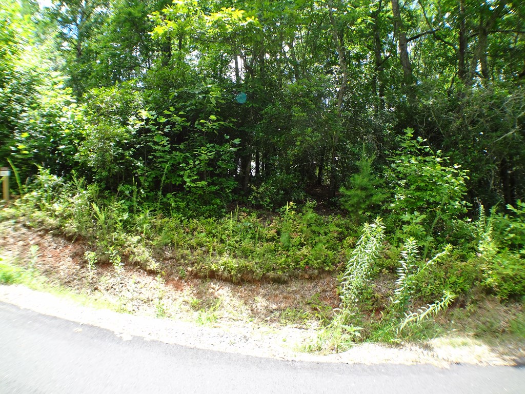 Lot #38 Porter Creek Rd LOT 38