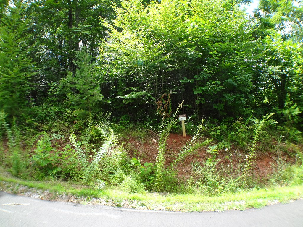 Lot #37 Porter Creek Drive