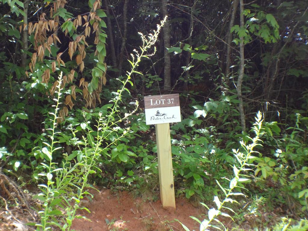 Lot #37 Porter Creek Drive