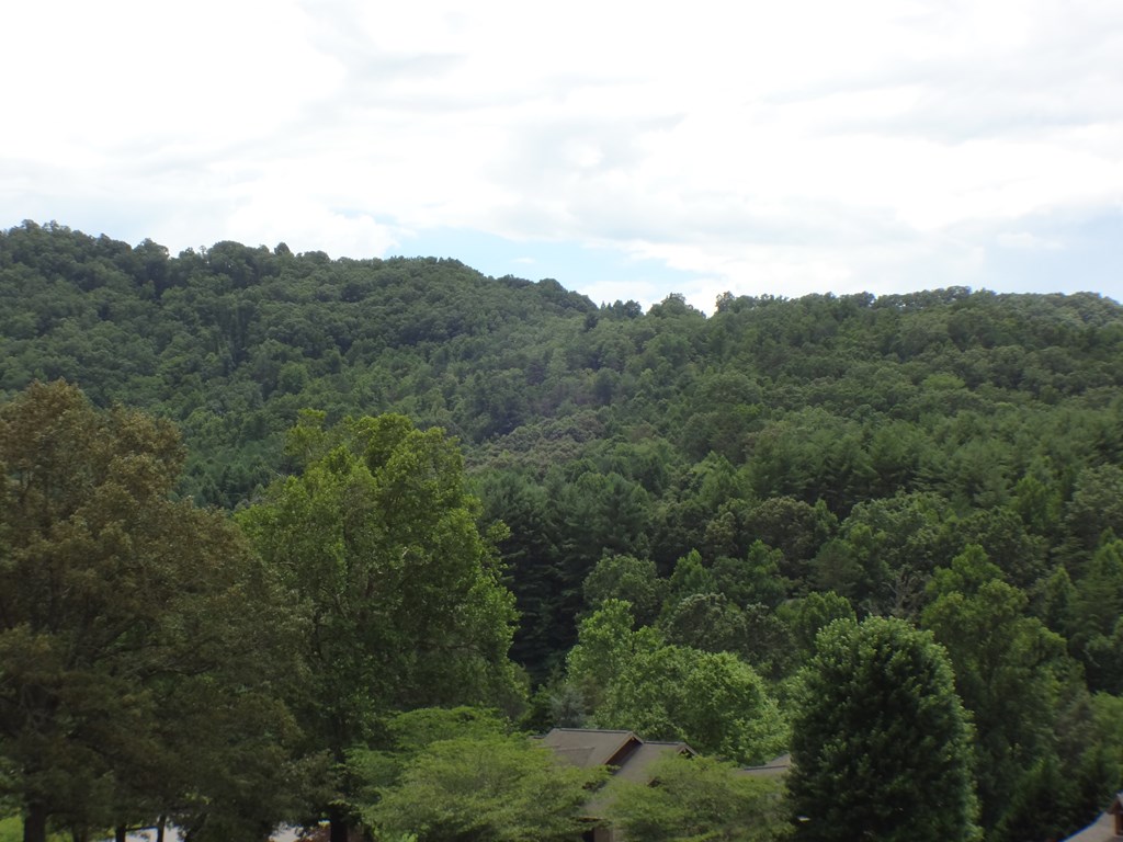 Lot #37 Porter Creek Drive