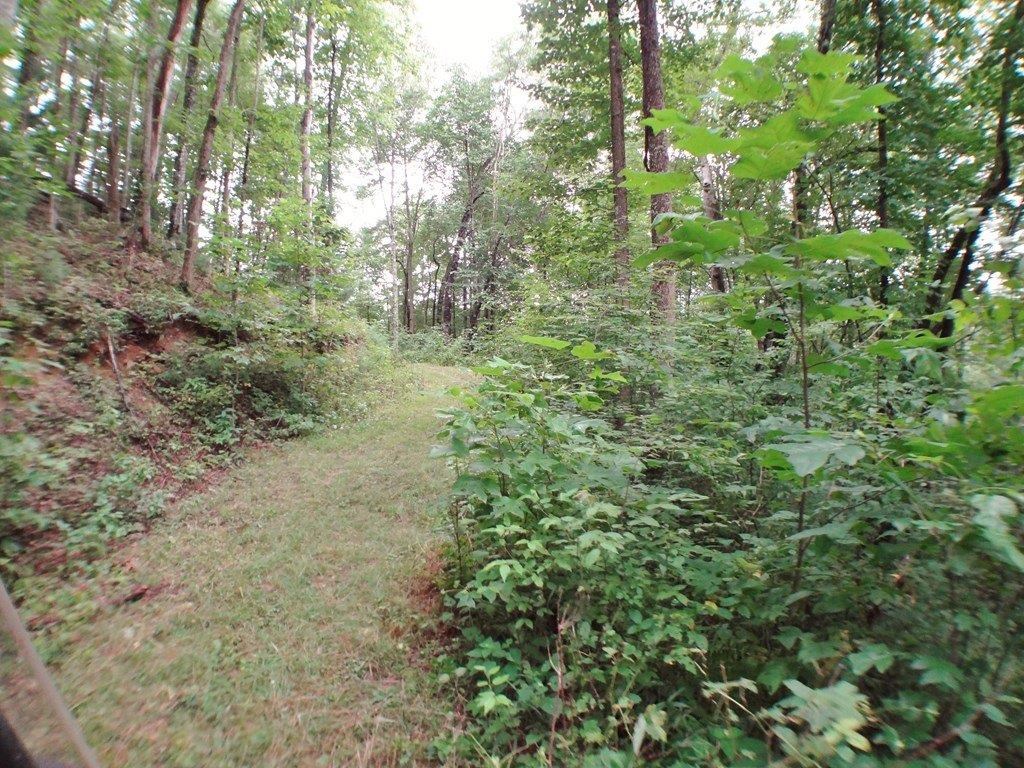 854 Hampton Branch Rd