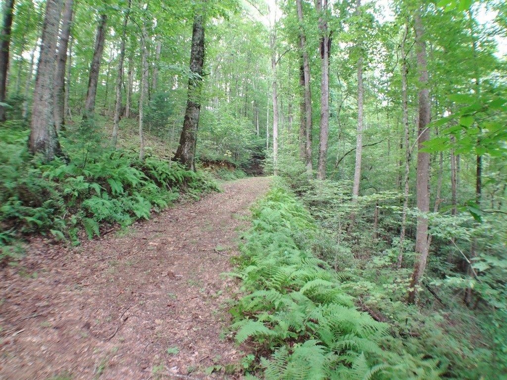 854 Hampton Branch Rd
