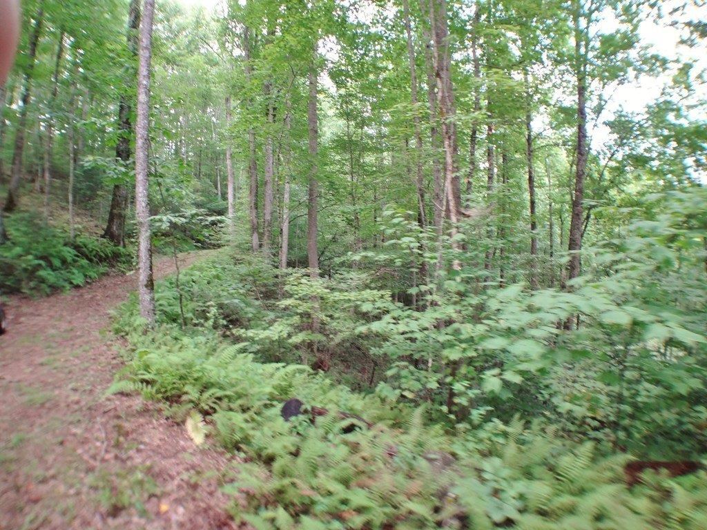 854 Hampton Branch Rd