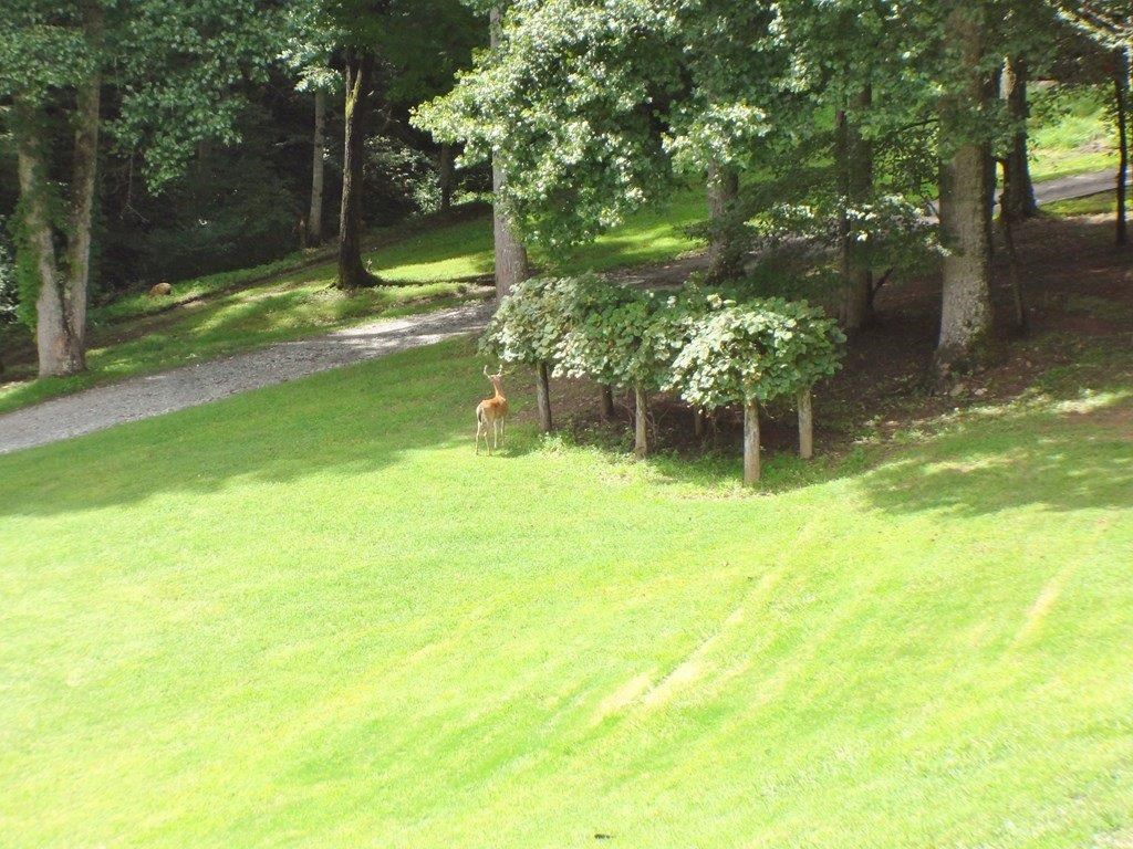 854 Hampton Branch Rd