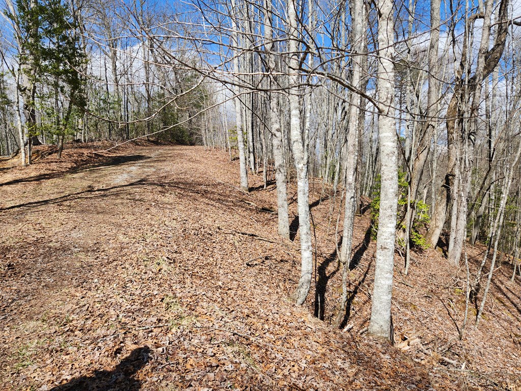 00 Camp Branch RD LOT NA