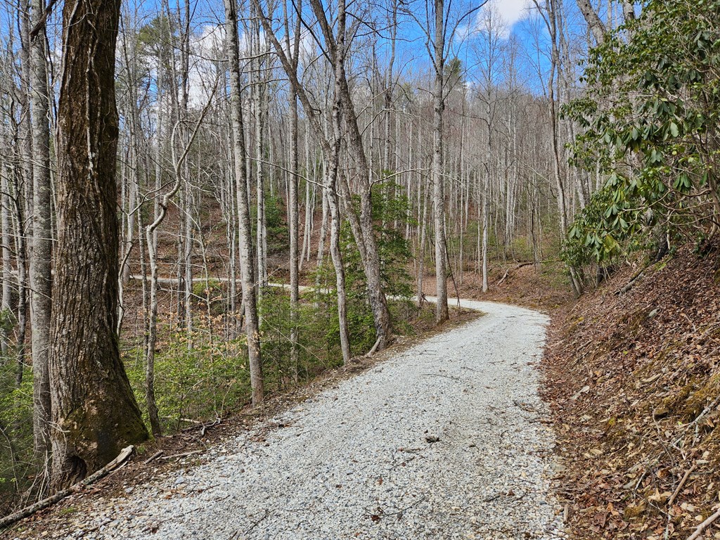 00 Camp Branch RD LOT NA