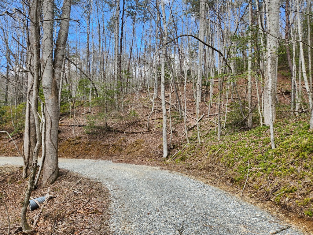 00 Camp Branch RD LOT NA