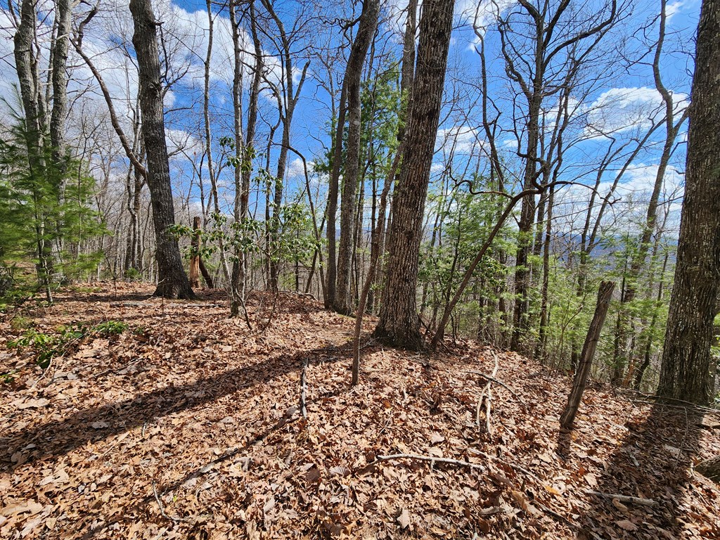 00 Camp Branch RD LOT NA