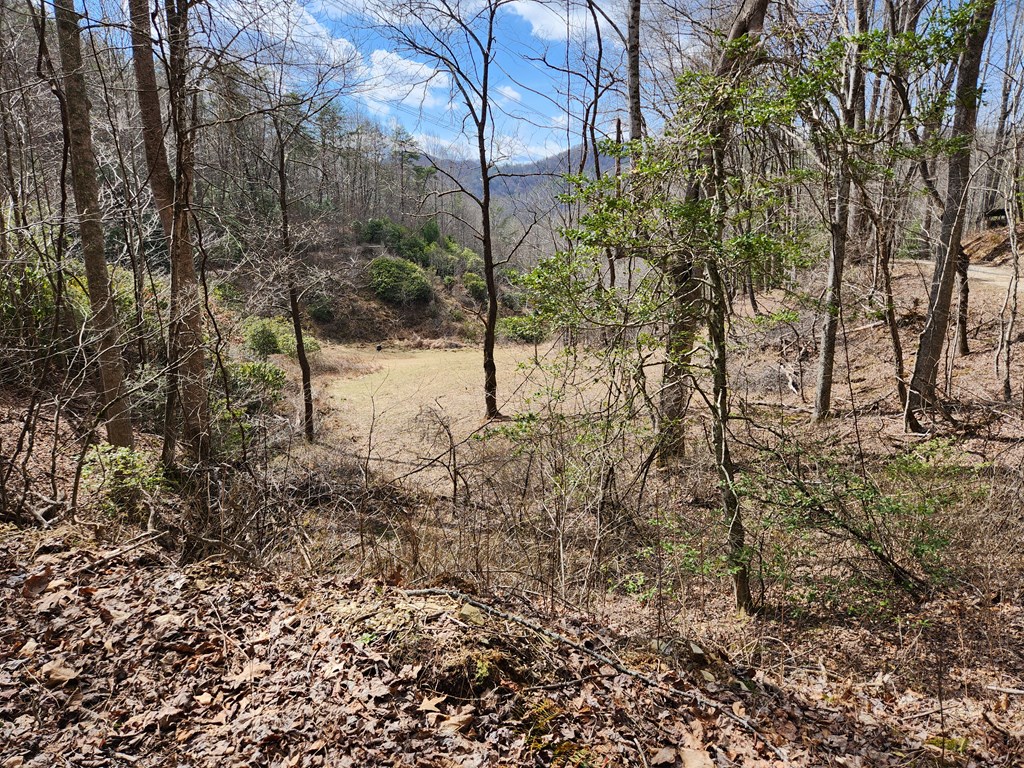 00 Camp Branch RD LOT NA
