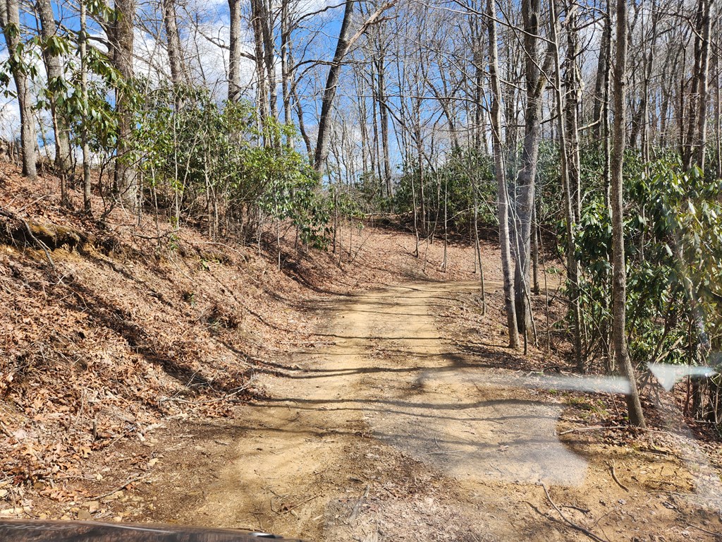 00 Camp Branch RD LOT NA