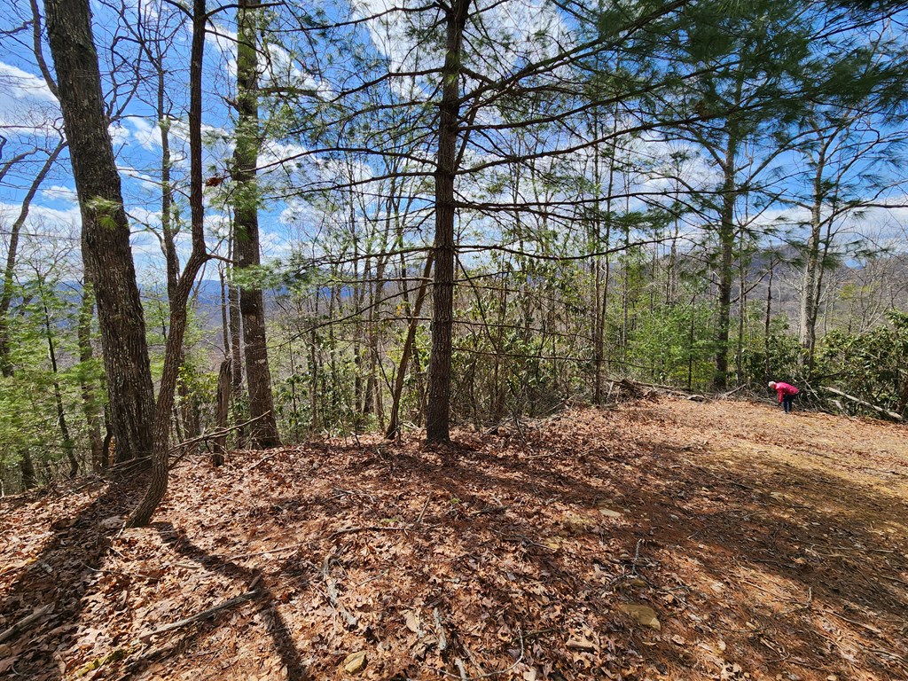 00 Camp Branch RD LOT NA