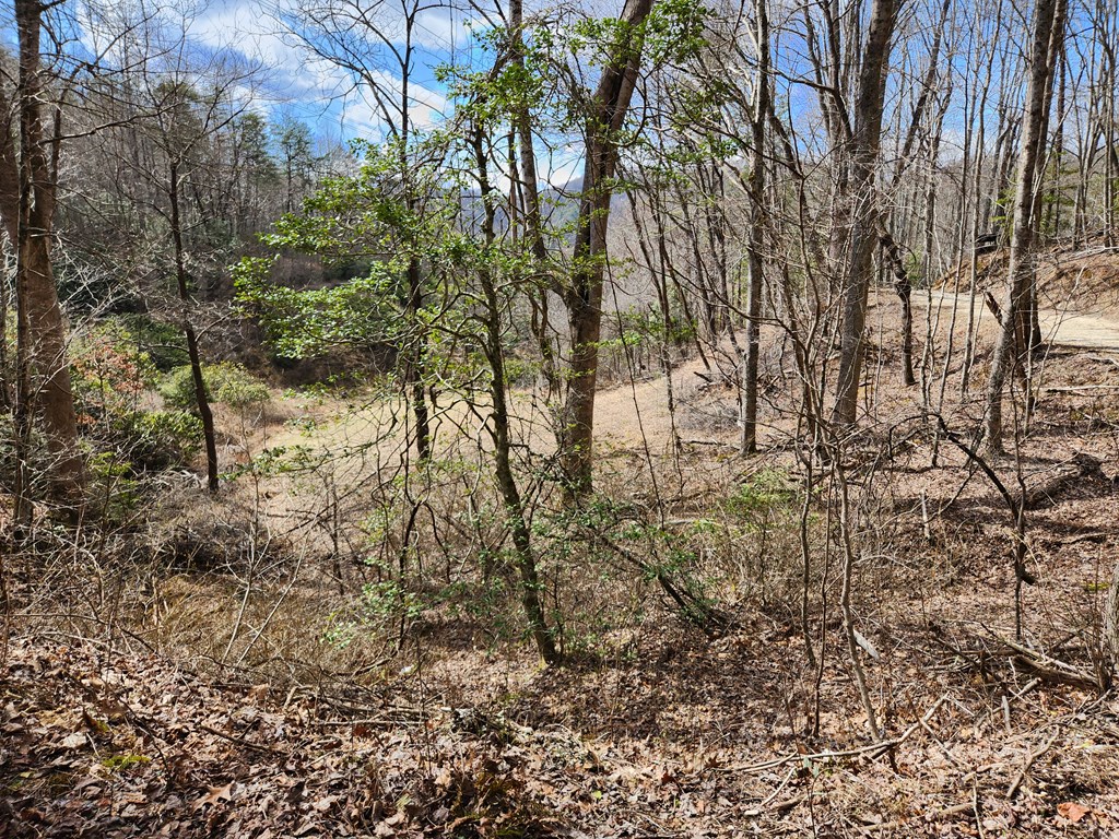 00 Camp Branch RD LOT NA