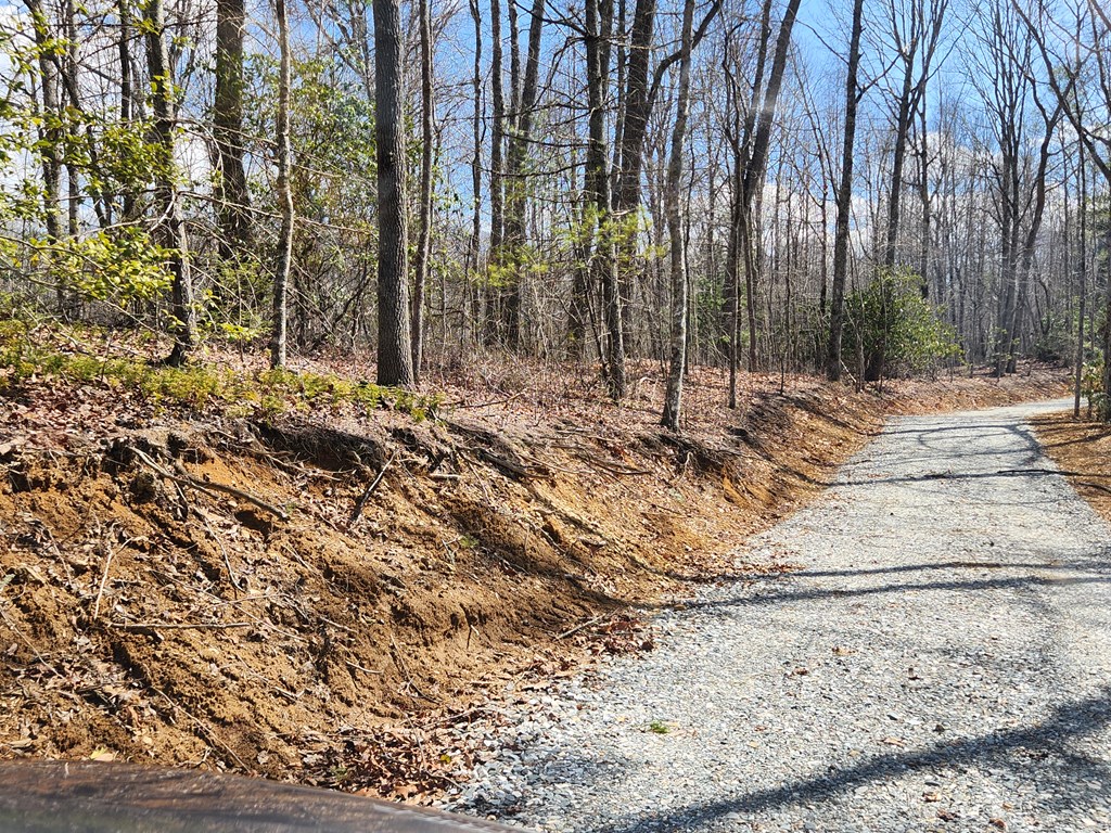 00 Camp Branch RD LOT NA