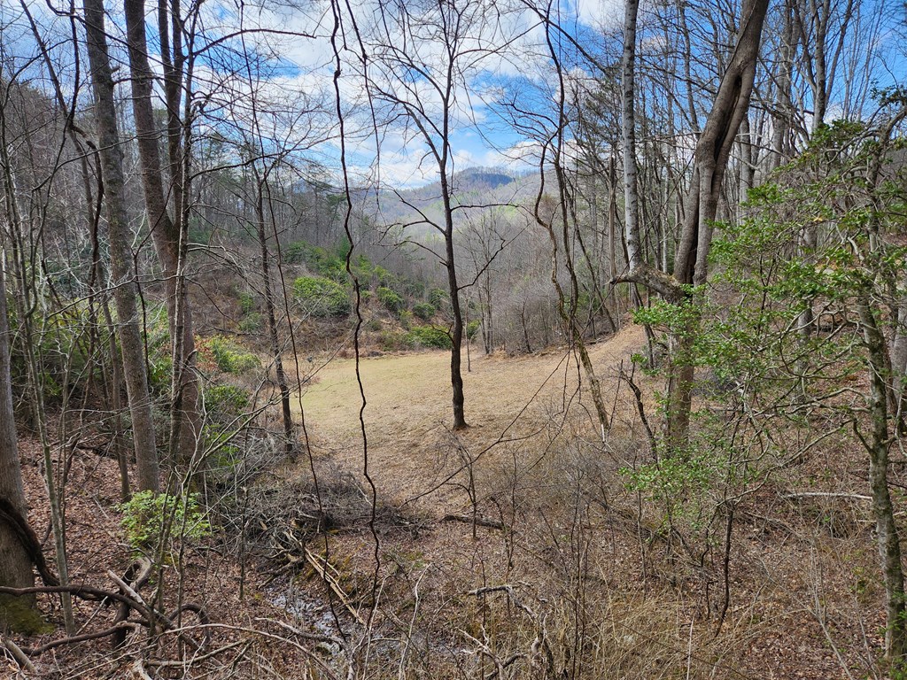 00 Camp Branch RD LOT NA