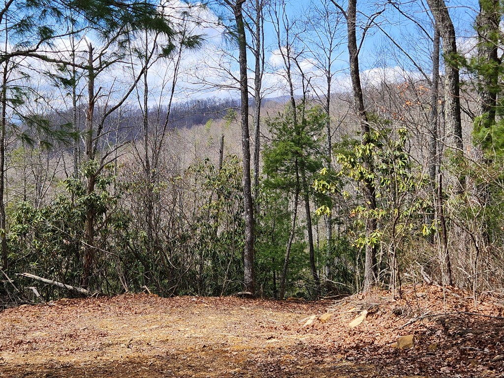 00 Camp Branch RD LOT NA