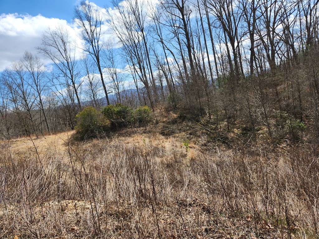 00 Camp Branch RD LOT NA
