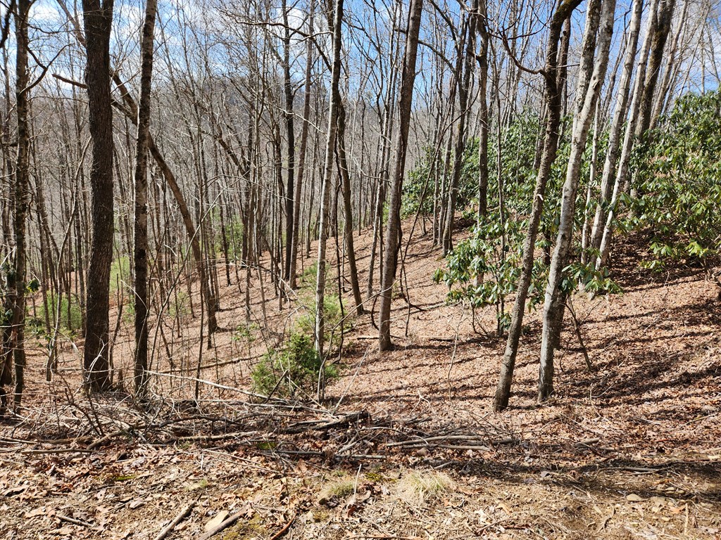 00 Camp Branch RD LOT NA