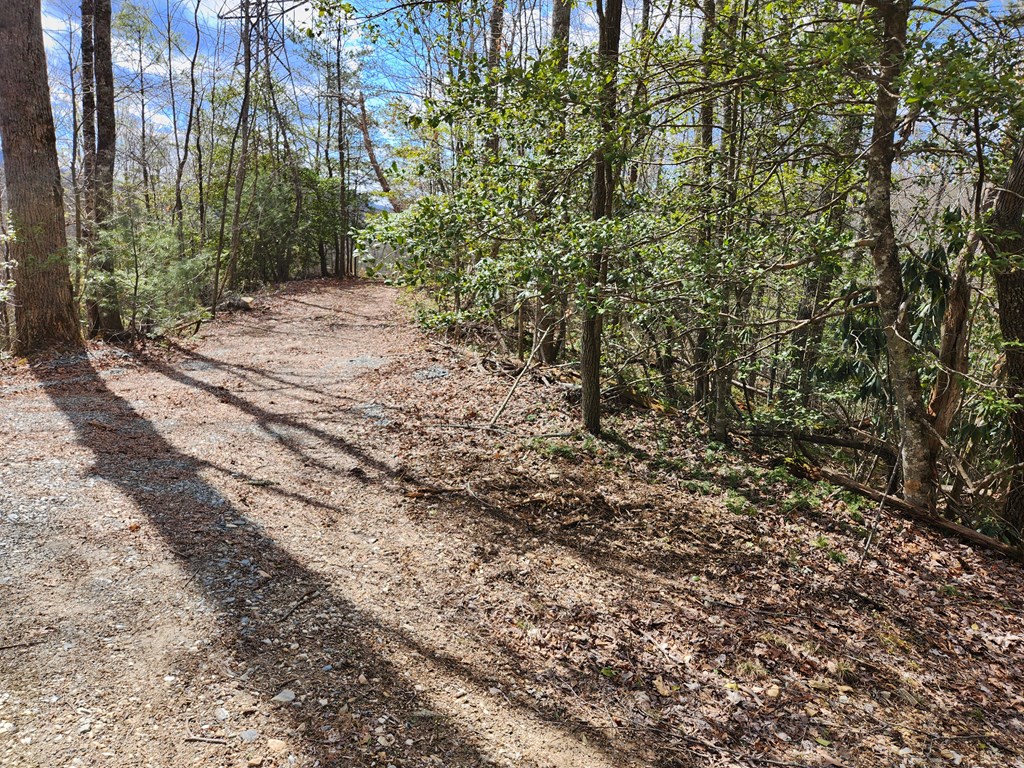 00 Camp Branch RD LOT NA