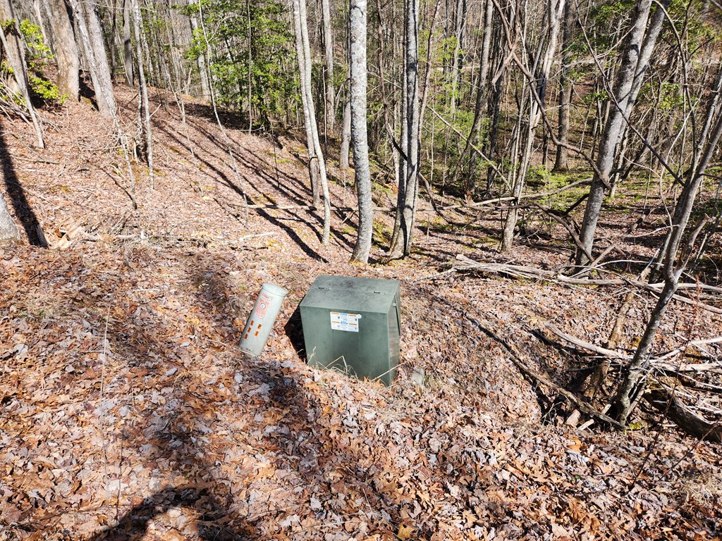 00 Camp Branch RD LOT NA