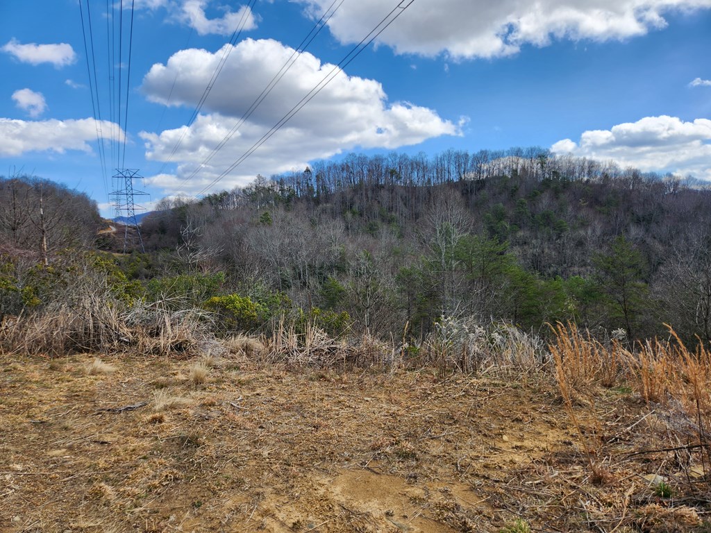 00 Camp Branch RD LOT NA