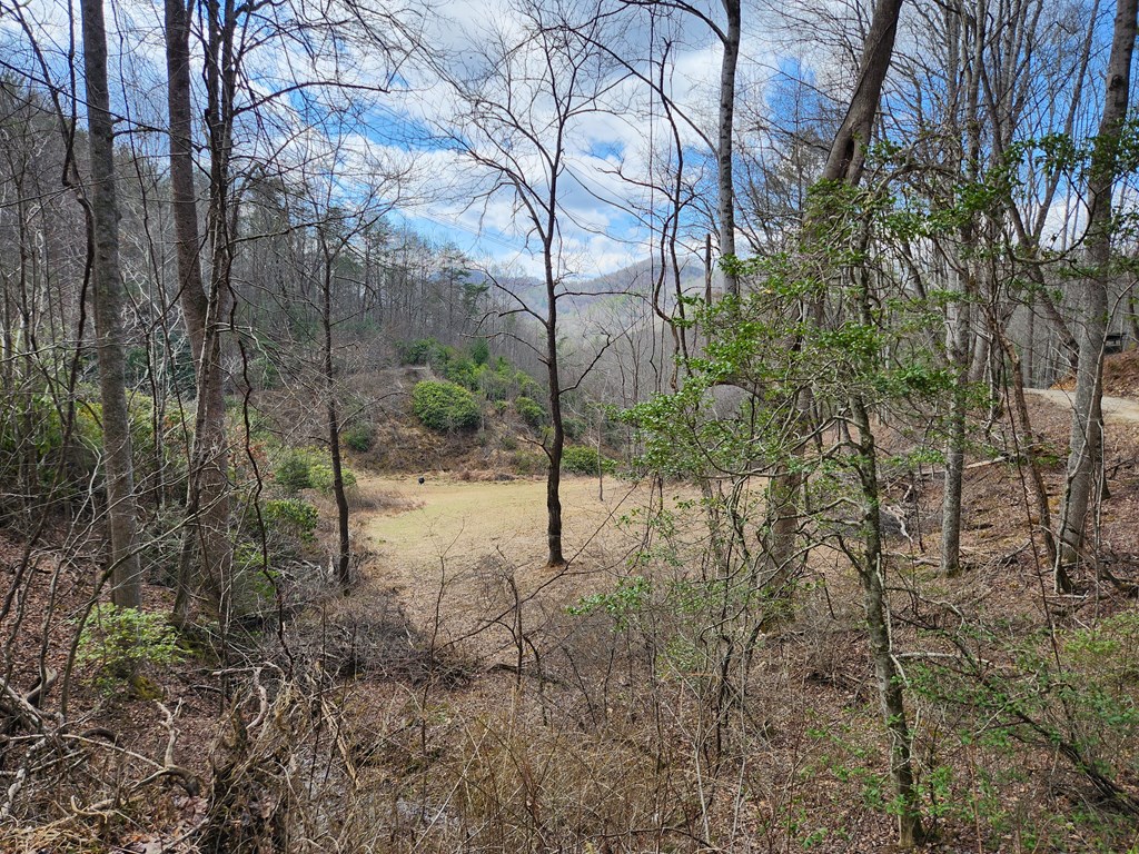 00 Camp Branch RD LOT NA