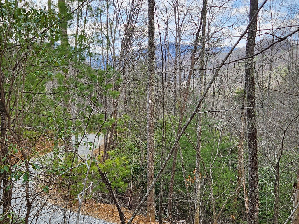00 Camp Branch RD LOT NA