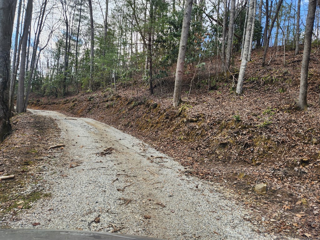 00 Camp Branch RD LOT NA