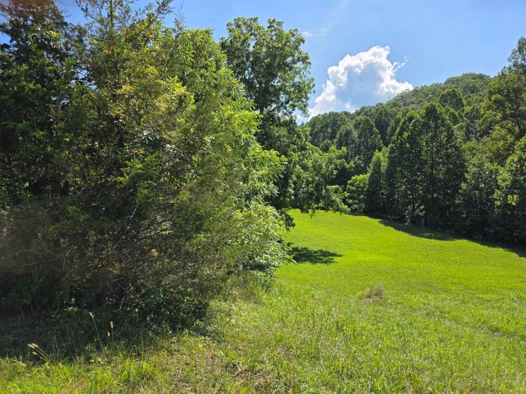 Lot 36 Dobson Road/ Brookstone Vista Ln LOT 36