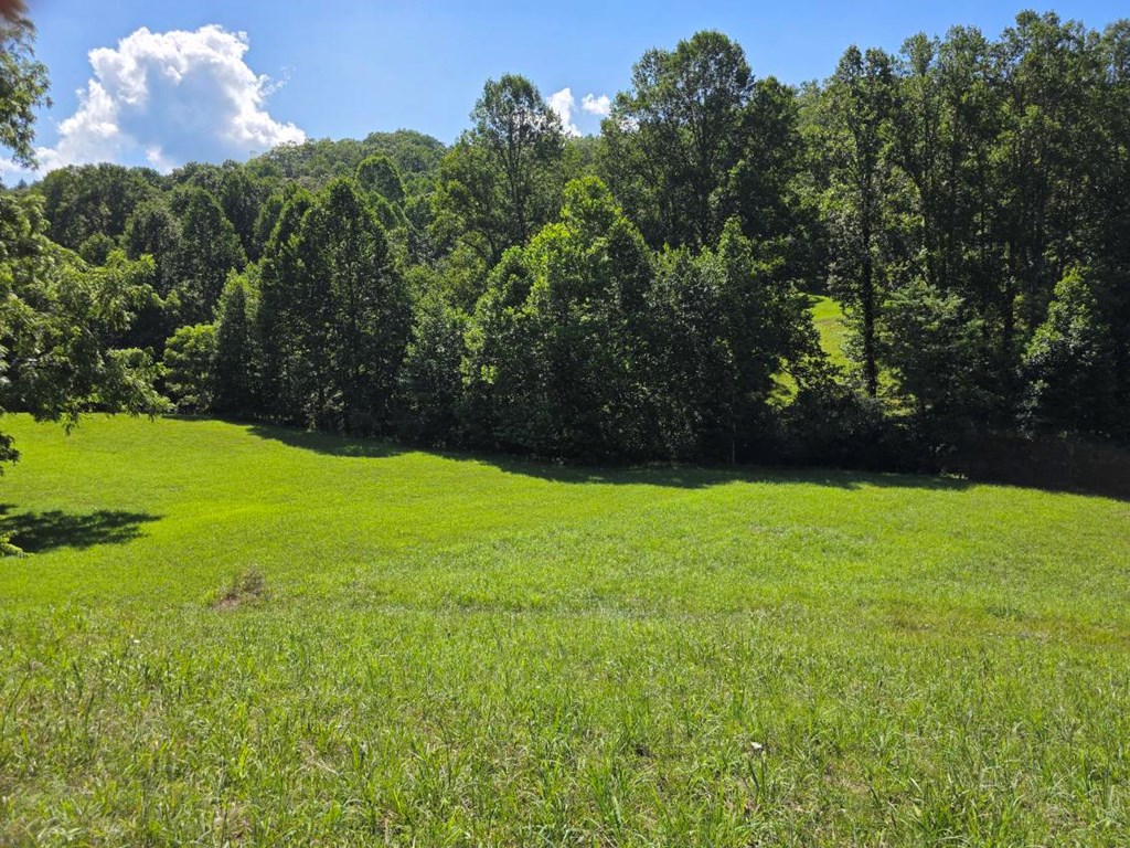 Lot 36 Dobson Road/ Brookstone Vista Ln LOT 36