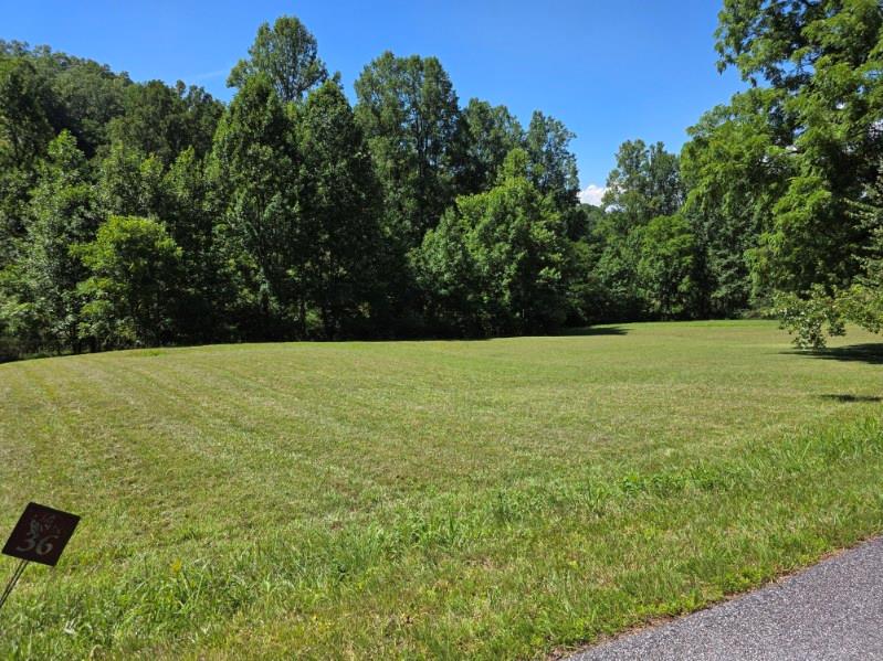 Lot 36 Dobson Road/ Brookstone Vista Ln LOT 36