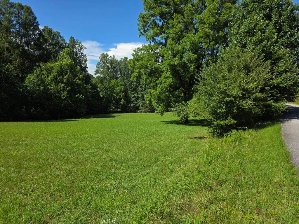 Lot 36 Dobson Road/ Brookstone Vista Ln LOT 36