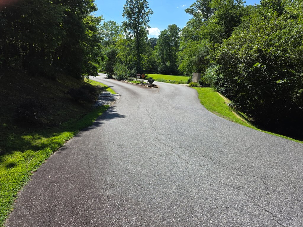 Lot 36 Dobson Road/ Brookstone Vista Ln LOT 36